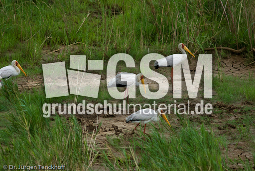 Nimmersatt (22 von 22).jpg